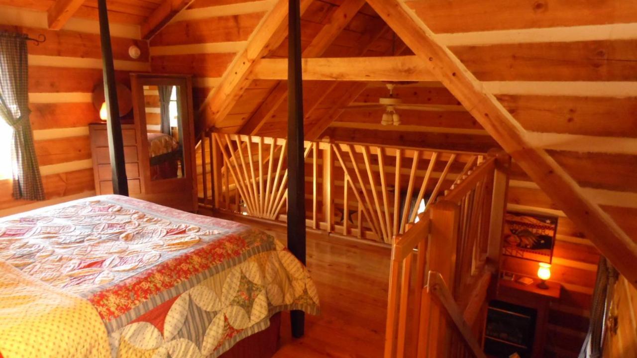 Fiddlers Roost B&B Cabins 갈락스 외부 사진