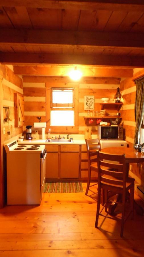 Fiddlers Roost B&B Cabins 갈락스 외부 사진